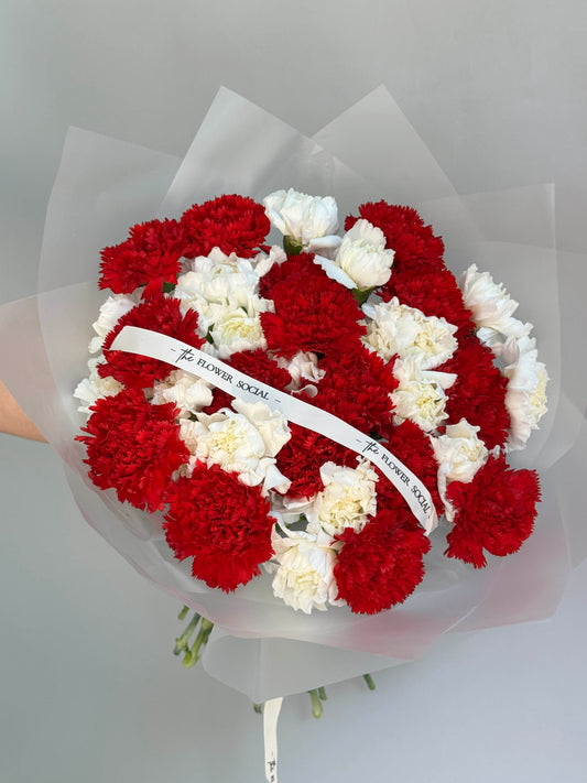 Red & White Carnation Delight