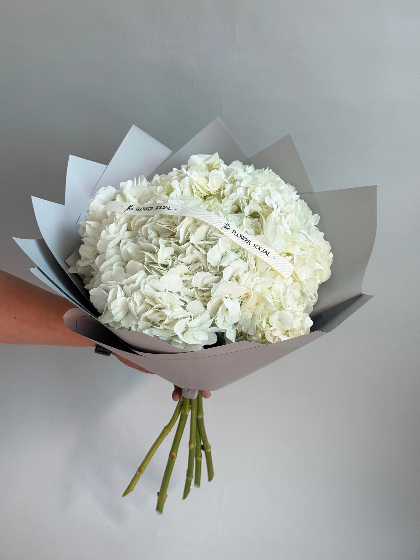 White Hydrangea Bouquet